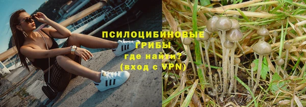 a pvp Карпинск