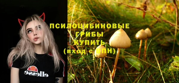 крисы Каменск-Шахтинский