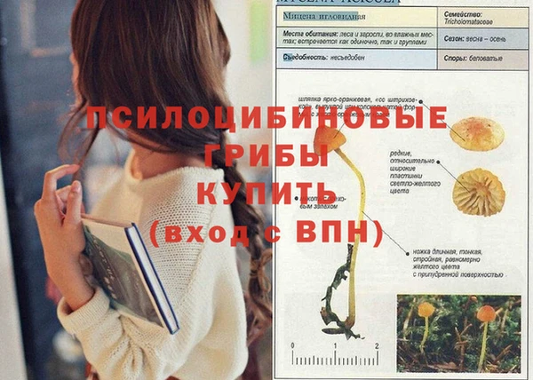 кокаин премиум Каменногорск
