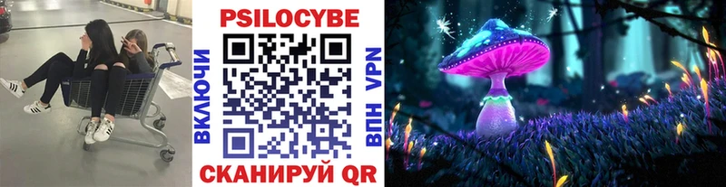 Псилоцибиновые грибы GOLDEN TEACHER Клин
